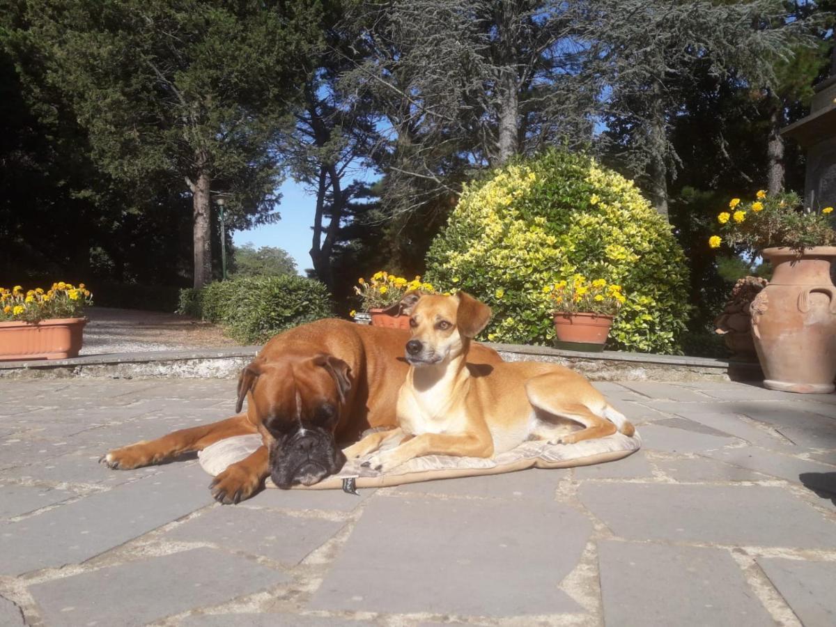 Casal Ponziani Per Civita E Dintorni Villa Bagnoregio Exterior foto